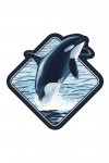 Orca Whale Jumping - Contour