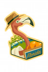 Florida - Flamingo & Oranges - Contour - Lantern Press Artwork