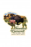 Theodore Roosevelt NP, North Dakota - Bison and Calf - Contour