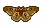 Moth - Geometric - Contour - Lantern Press Artwork