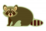 Raccoon - Geometric - Green Background - Contour - Lantern Press Artwork