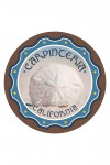 Carpinteria, California - Sand Dollar on Beach - Contour - Lantern Press Photography