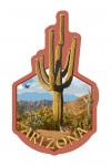 Arizona - Saguaro Cactus & Roadrunner Scene - Contour