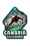 Cambria, California - Skimboarder - Scratchboard - Contour - Lantern Press Artwork