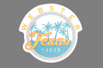 Webster, Texas - Tropical Palm Trees - Contour - Lantern Press Artwork