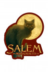 Salem, Massachusetts - Black Cat - Halloween Oil Painting - Contour - Lantern Press Artwork