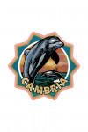 Cambria, California - Dolphin - Scratchboard - Contour - Lantern Press Artwork