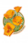Bakersfield, California - Poppy Flowers - Contour - Lantern Press Artwork