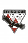 Big Sur, California - Condor & Triangles - Contour - Lantern Press Artwork