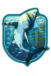 Santa Cruz, California - Stylized Great White Shark - Contour