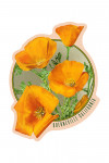 Guerneville, California - Poppy Flowers - Contour - Lantern Press Artwork