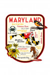 Maryland - Typography & Icons - Black-Eyed Susan - Contour