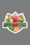 Tulip Town, Washington - Tulips - Contour - Lantern Press Photography