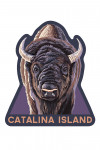 Catalina Island, California - Bison Up Close - Contour - Lantern Press Artwork
