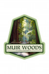 Muir Woods National Monument, California - Pathway - Contour