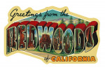 Greetings from the Redwoods of California - Contour - Lantern Press Artwork