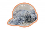 Cocoa Beach Pier, Florida - Hawksbill Turtle Hatching - Contour - Lantern Press Photography