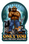 Montana - Smokey Bear - Only You Can Prevent Wildfires - Contour - Lantern Press Artwork