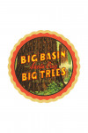 Santa Cruz, California - Big Basin & Big Trees - Contour - Lantern Press Artwork