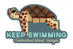 Cumberland Island, Georgia - Sea Turtle - Keep Swimming - Geometric - Contour - Lantern Press Artwork