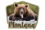 Montana - Grizzly Bear with Tongue Out - Contour - Lantern Press Photography