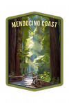 Mendocino, California - Pathways in Redwood Forest - Contour - Lantern Press Artwork