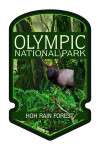 Olympic National Park, Washington - Hoh Rain Forest - Contour