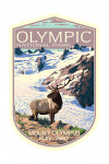Olympic National Park, Washington - Mt. Olympus & Elk - Contour