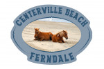 Ferndale, California - Centerville Beach - Wild Horses on Beach - Contour - Lantern Press Photography