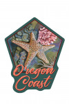 Oregon Coast - Tidepool - Contour - Lantern Press Artwork