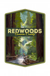 Sonoma County, California - Redwoods - Pathway in Trees - Contour - Lantern Press Artwork