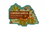 Chiricahua National Monument, Arizona - Lizard on Sign - Geo Breakout - Contour - Lantern Press Artwork