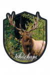 Tehachapi, California - Elk Bull - Contour - Lantern Press Photography
