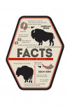 Colorado - Facts About Bison - Contour