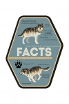 Colorado - Facts About Gray Wolves - Contour